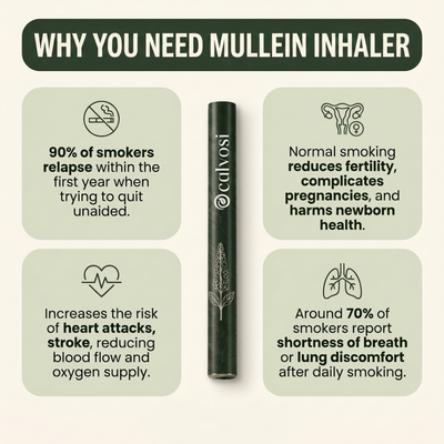 Calvosi™ Mullein Purifier